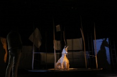 White Dog 53 * 5760 x 3840 * (4.45MB)